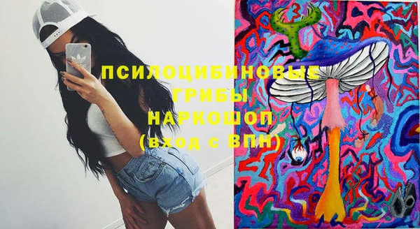крисы Протвино