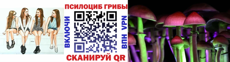 ОМГ ОМГ ТОР  Стрежевой  Псилоцибиновые грибы ЛСД  где найти  