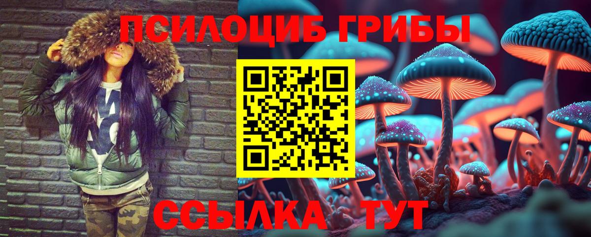Галлюциногенные грибы Cubensis  Вход с VPN  Стрежевой 